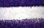 Wound Healing Assays